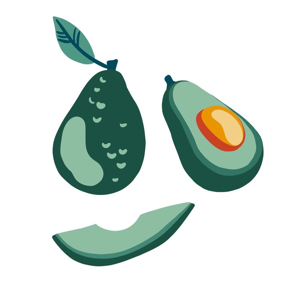 avocado. vegetarisch, biologisch voedsel. avocado slice en hele rijpe groene avocado fruit geïsoleerd op een witte achtergrond. cartoon vectorillustratie. vector