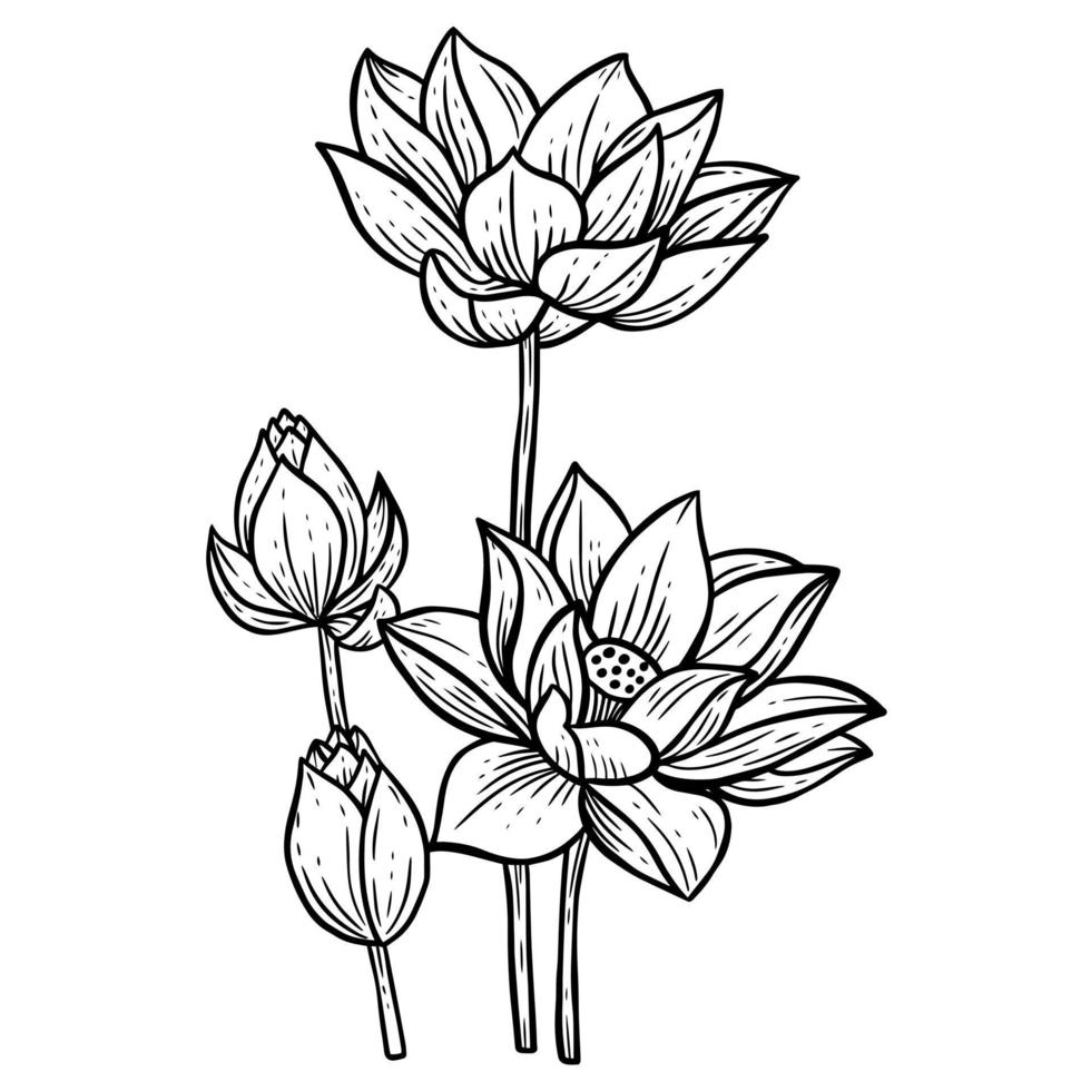 hand getrokken bloem lotus bladeren naturals geïsoleerde sticker zwarte botanische lijn kunst illustratie vector