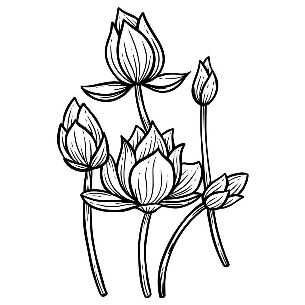 hand getrokken bloem lotus bladeren naturals geïsoleerde sticker zwarte botanische lijn kunst illustratie vector