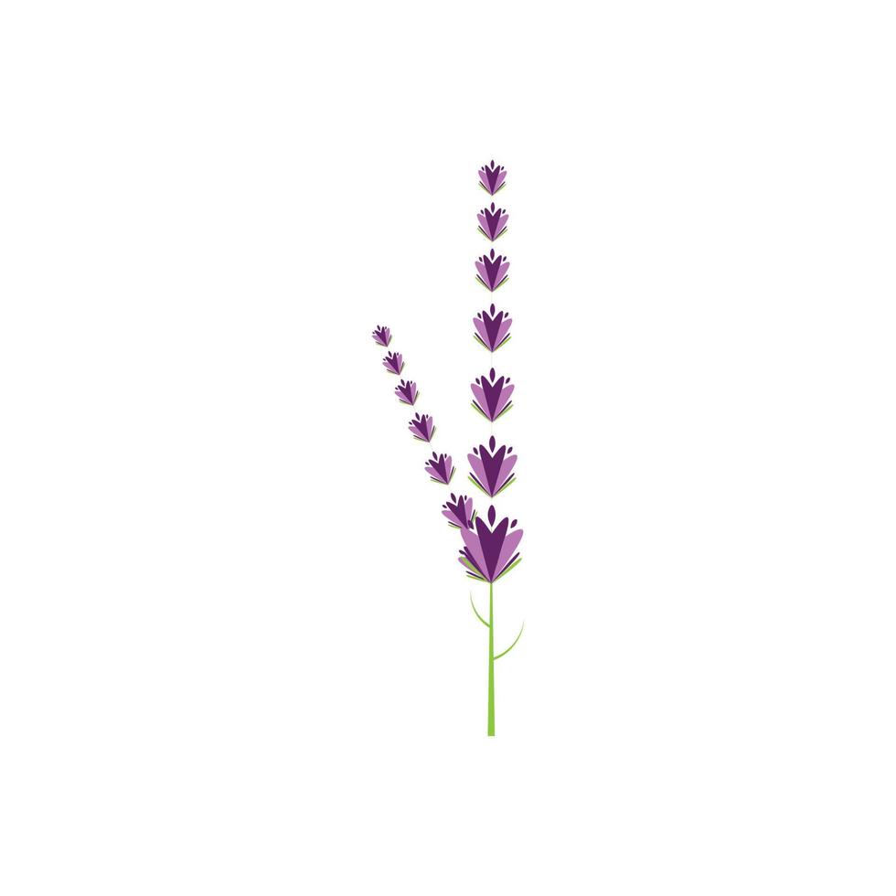 verse lavendel bloem logo vector plat ontwerp