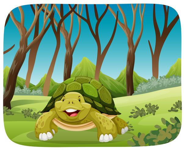 schattige schildpad in het bos vector