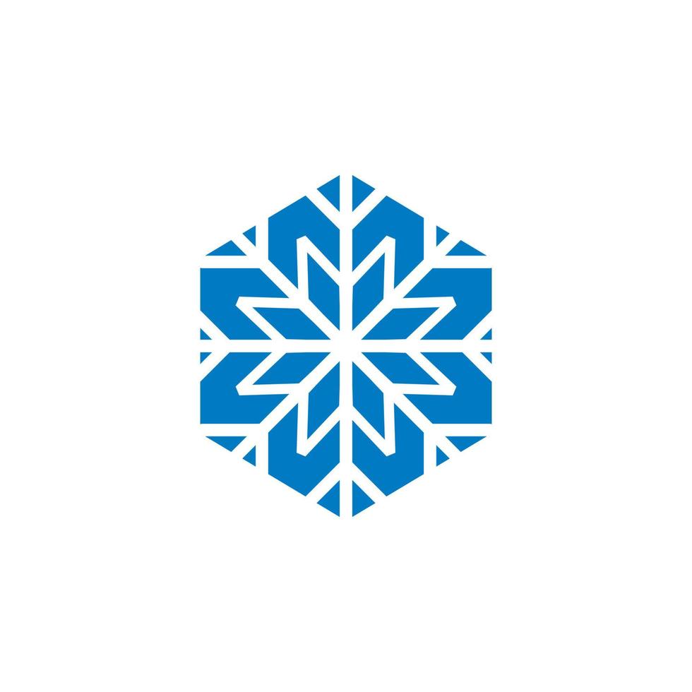 winter vector, abstract sneeuw logo vector