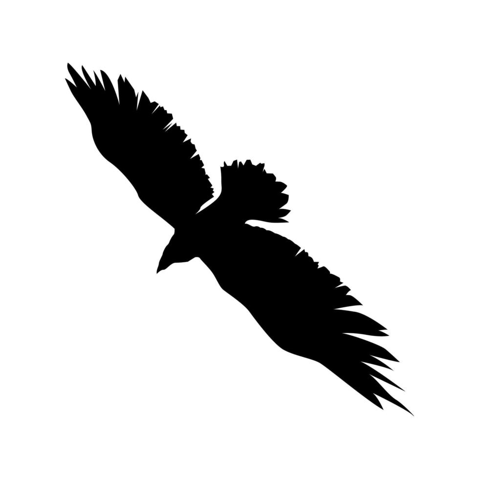 silhouetten van vogels, adelaar, adelaarssilhouetontwerp vector