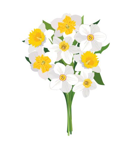 Bloemen boeket. Bloemenlijst. Bloei wenskaart. Zomer decor vector