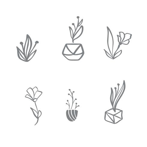 Set van vector Scandinavische bloemen Logo. Hand getrokken organische cosmetica van de pictogrambloem, bloemisthuwelijk, huisdecor