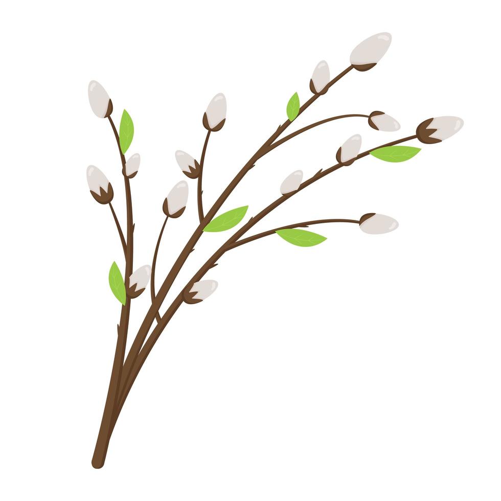 wilgen takken. wenskaartsjabloon. lente bloem. pasen concept vector