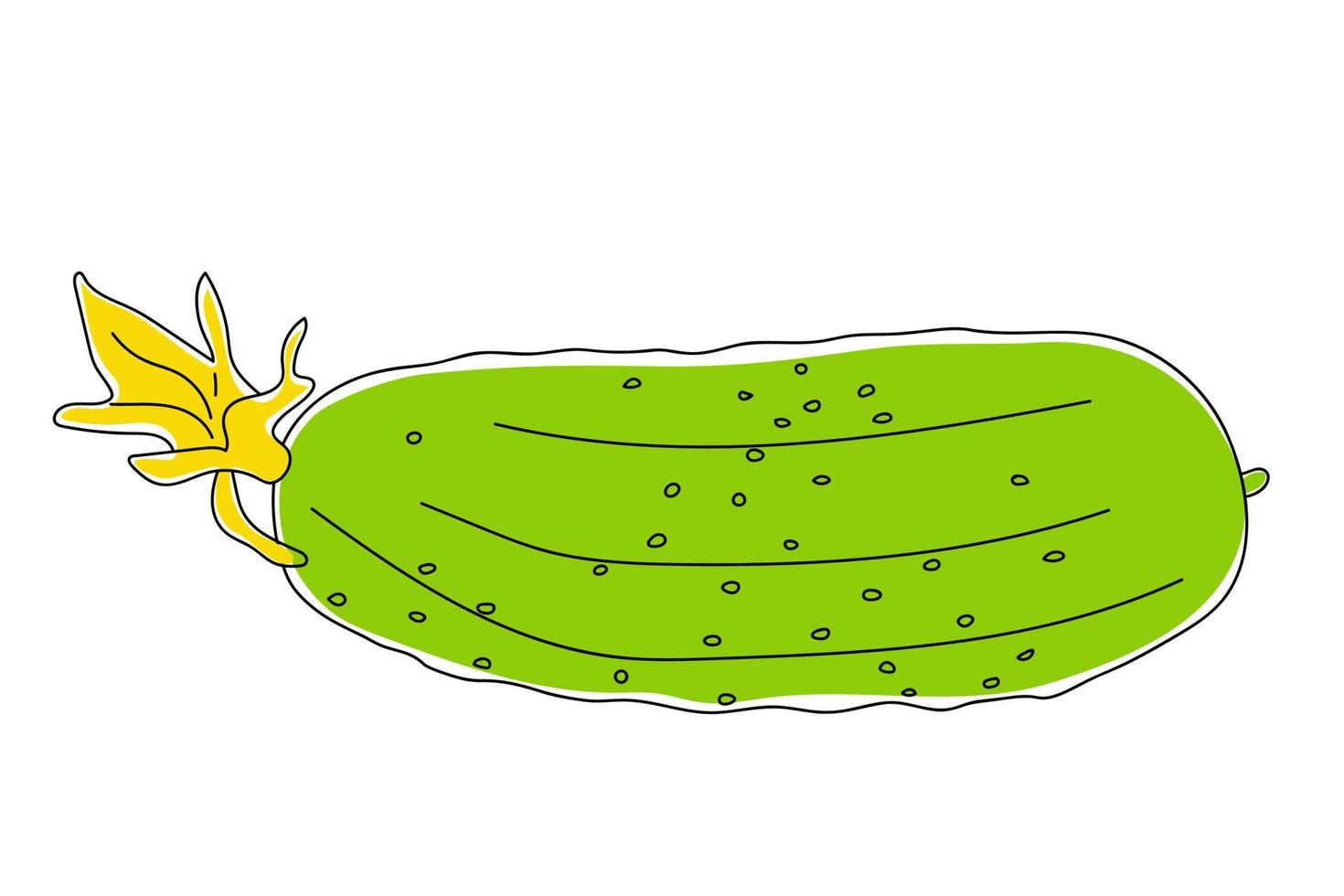 hand getekende komkommer met bloem. vector