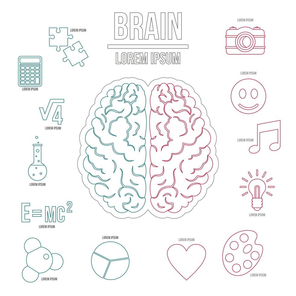 menselijk brein infographics set, Kaderstijl vector
