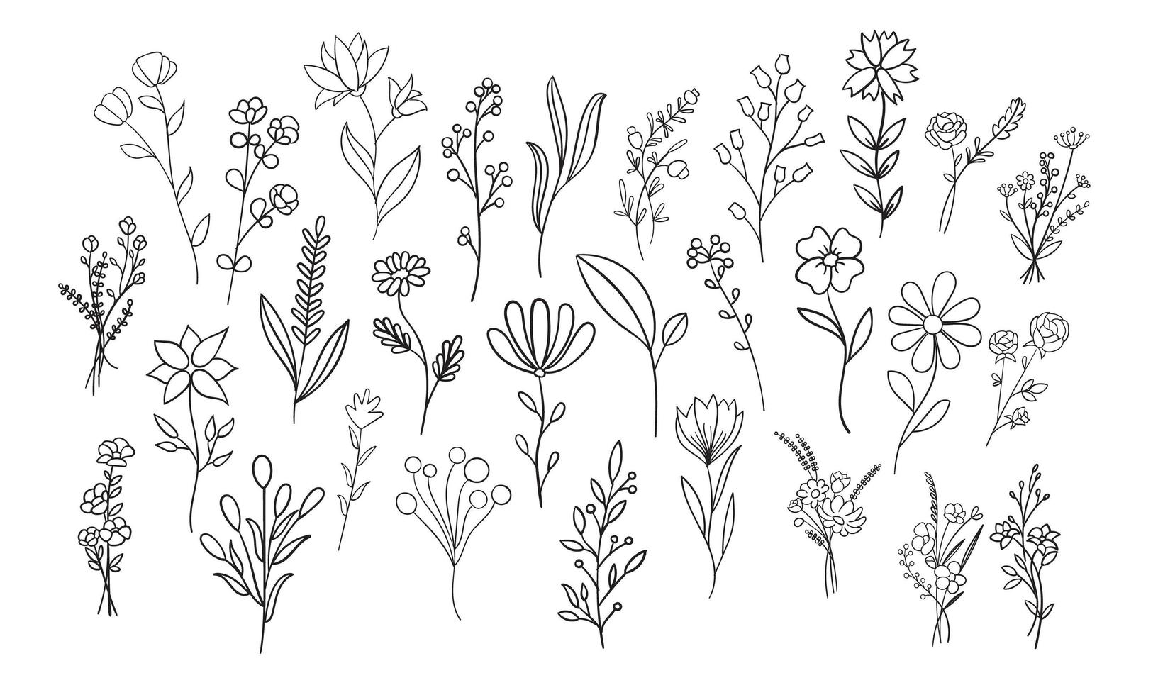 bloemen, botanische en bladeren schetsen vector collectie.