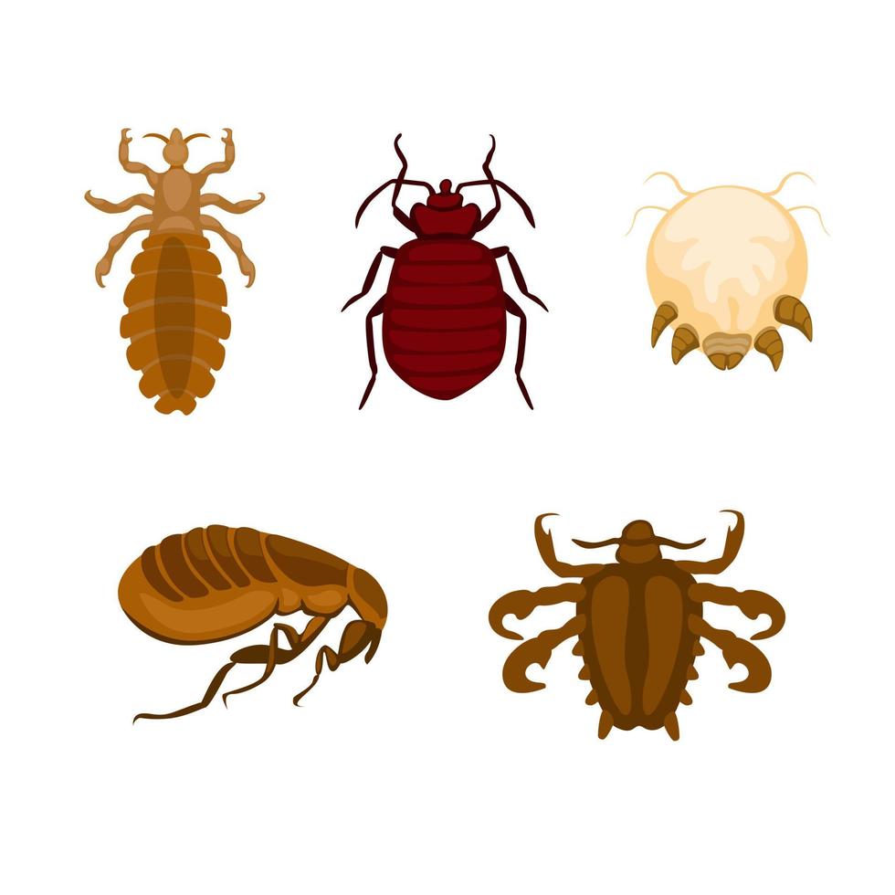 luizen en insecten insect symbool set illustratie vector