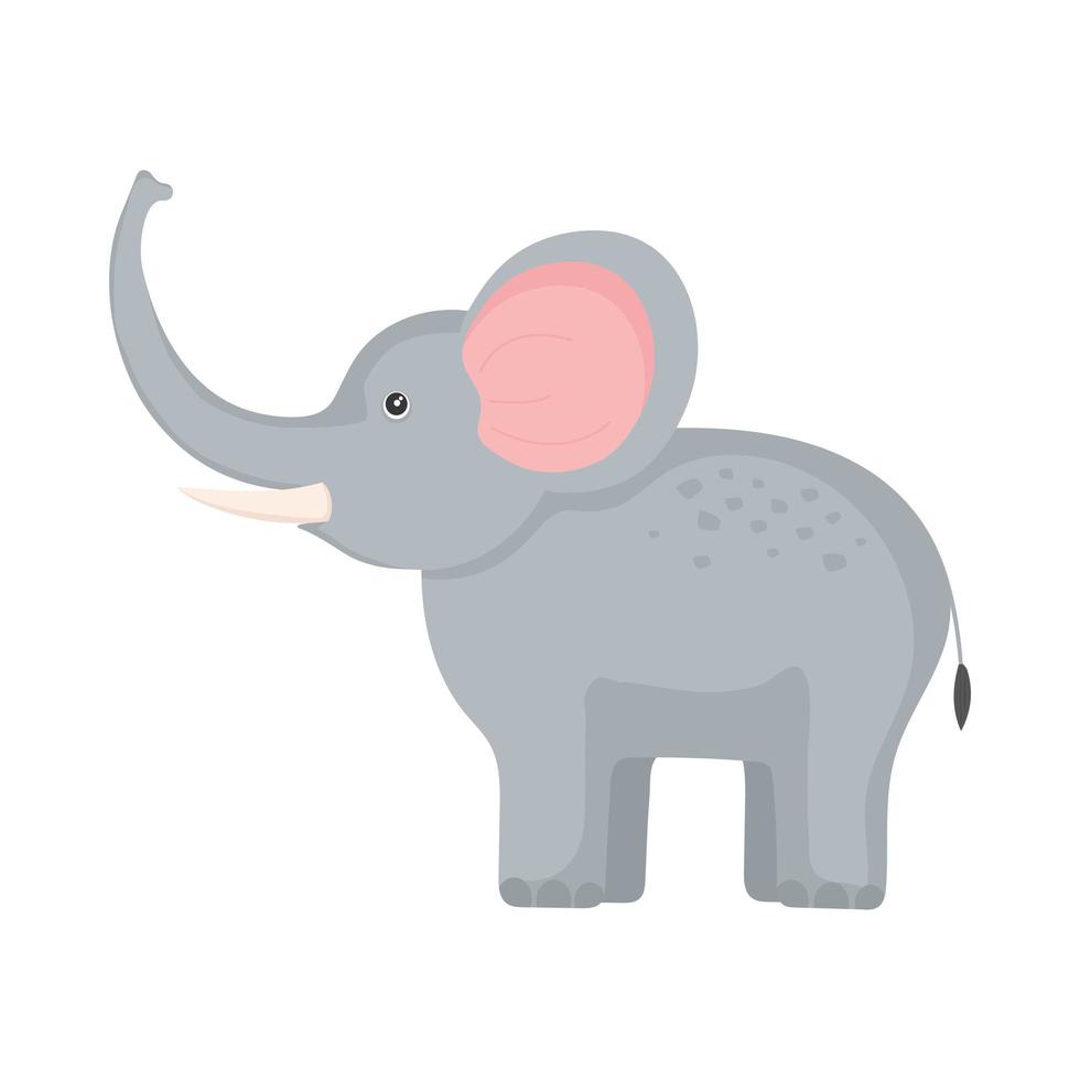 olifant exotisch dier vector
