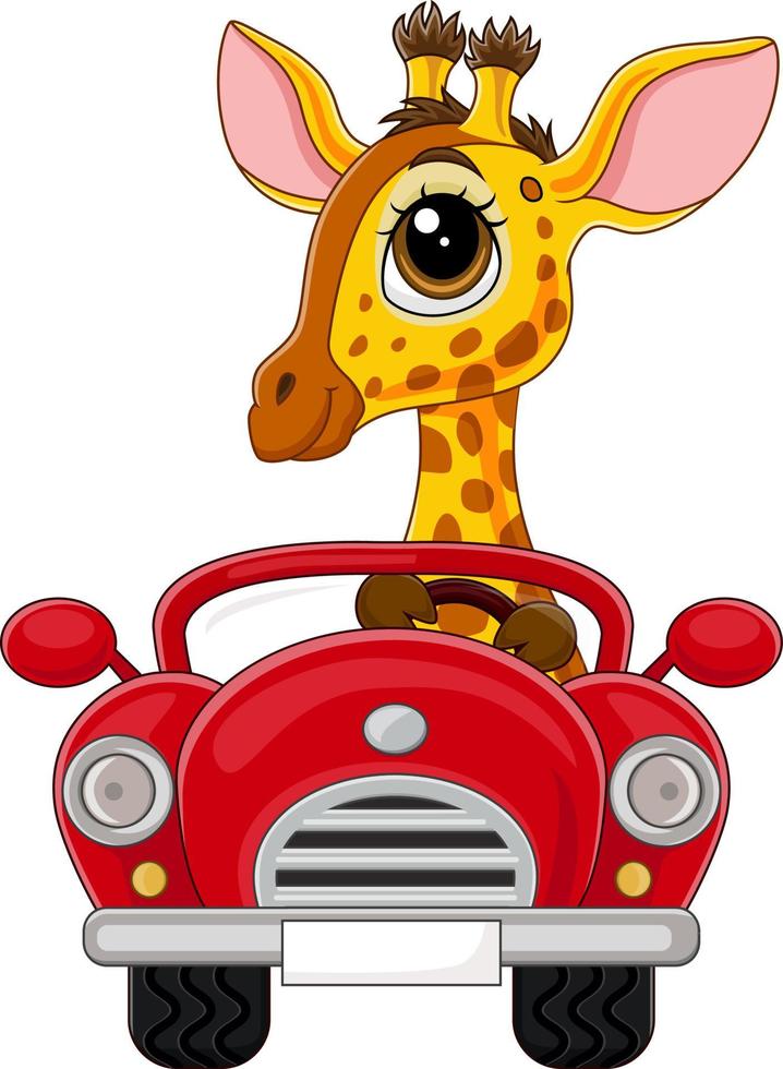 tekenfilm babygiraf die rode auto bestuurt vector