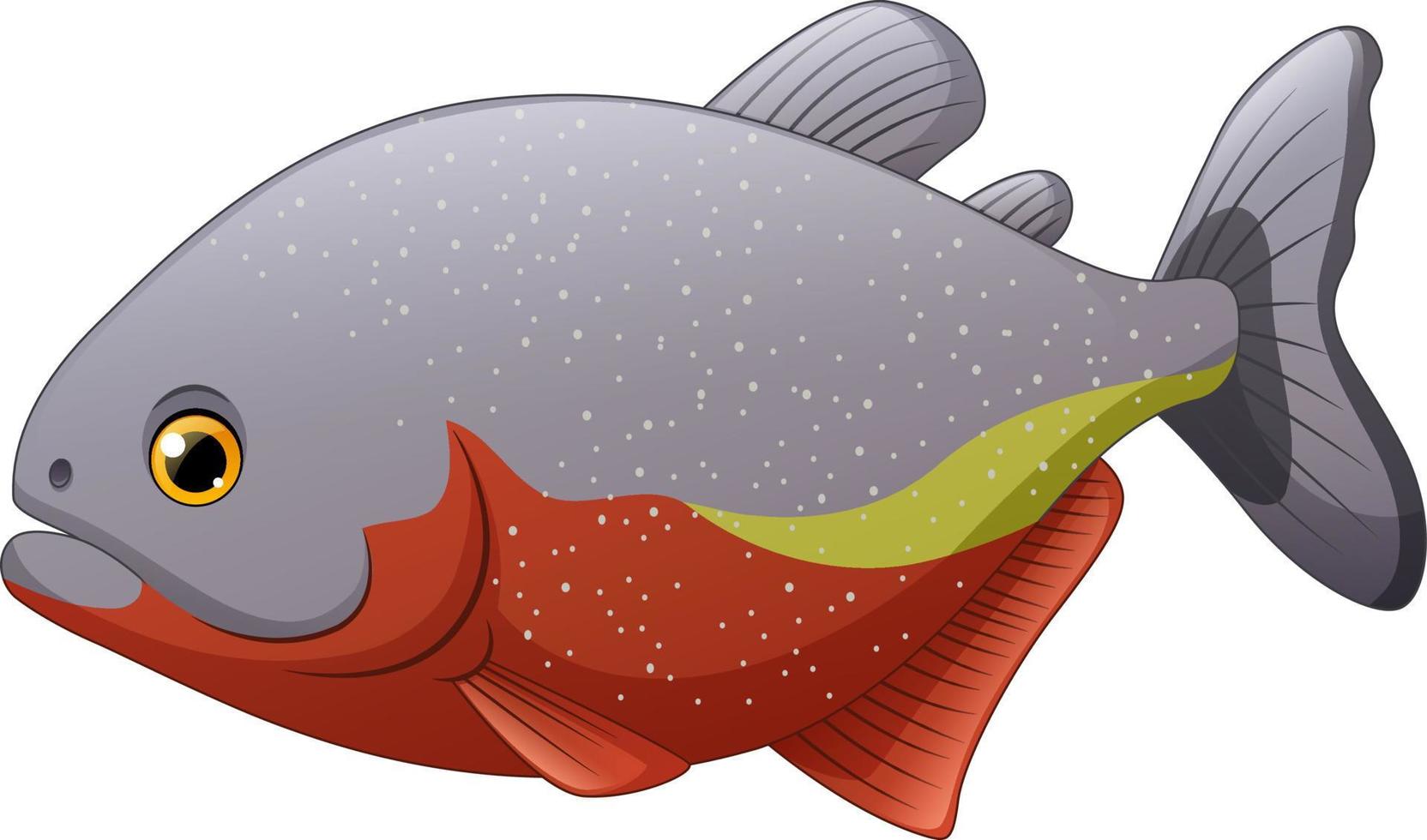 cartoon piranha vis geïsoleerd op witte achtergrond vector