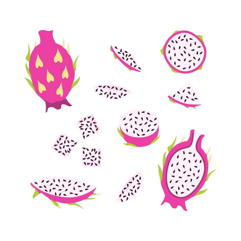 pitaya in verschillende vormen, drakenoog. vectorelementen voor ontwerp. vector