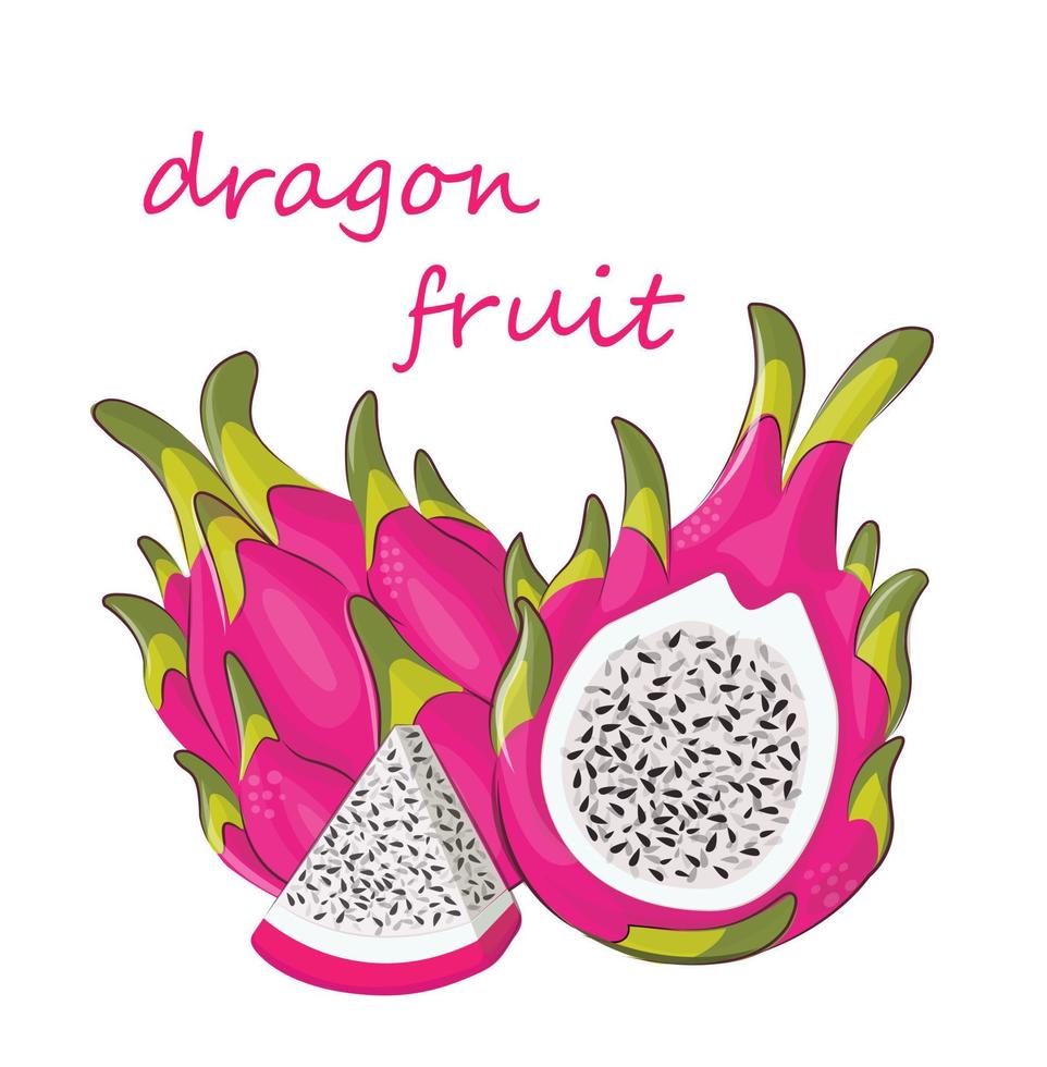 drakenfruit op witte achtergrond tropisch exotisch roze zomer design print pitaya vector