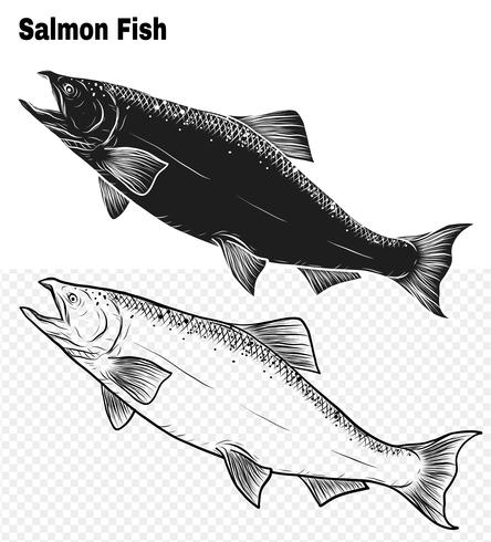 Zalmkunst zeer gedetailleerd in lijnstijl vector