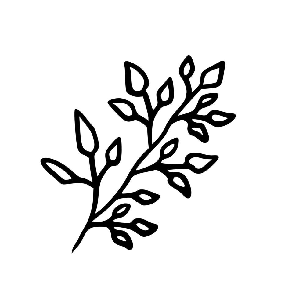 botanische illustratie. varen, eucalyptus, buxus. vintage bloemenachtergrond. vectorontwerpelementen. geïsoleerd. zwart en wit. vector