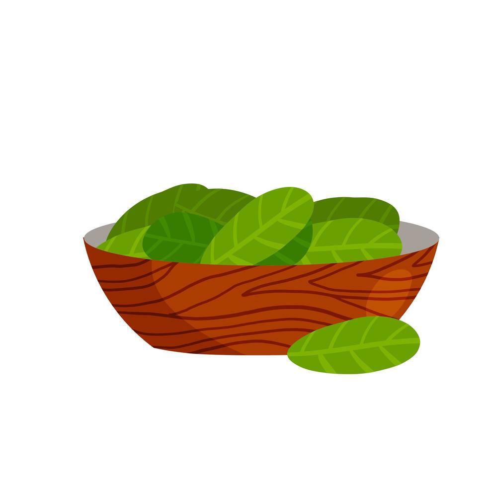 spinazie in plaat. groene bladeren en salade in kom. gezonde voeding en dieet. platte cartoonillustratie vector