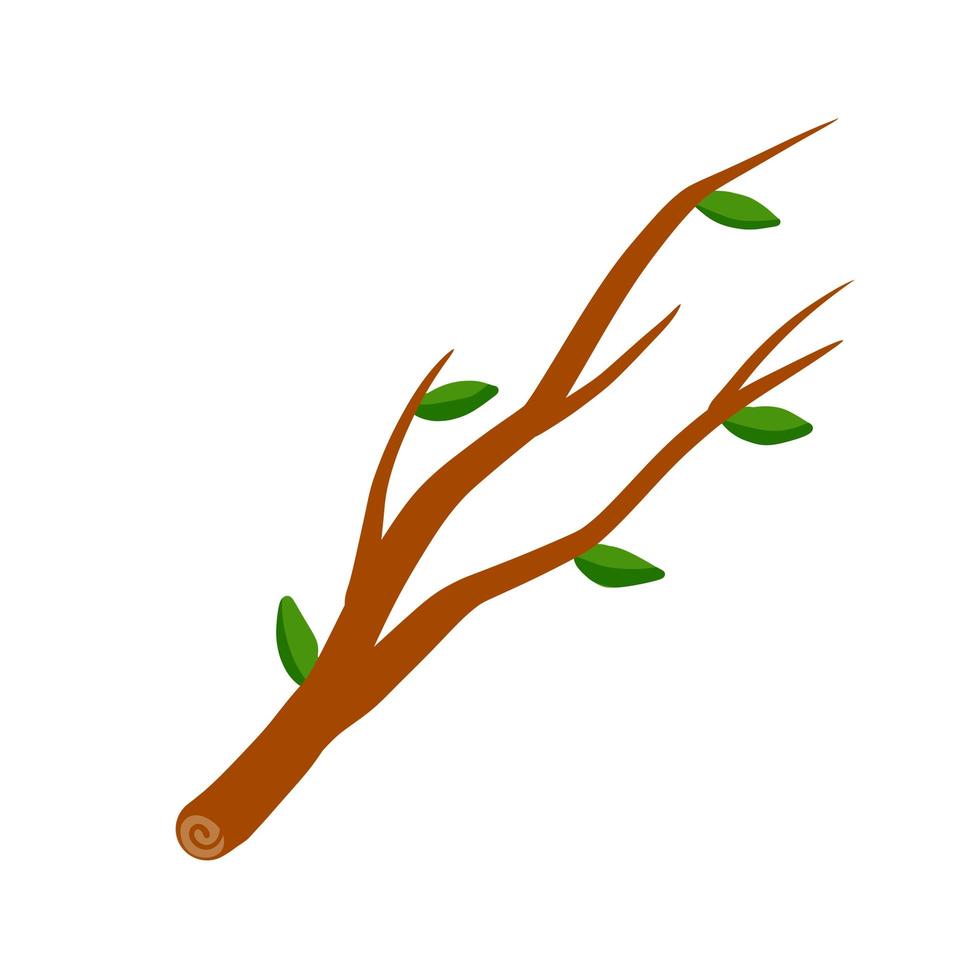 boomtak met blad op witte illustratie als achtergrond. vector