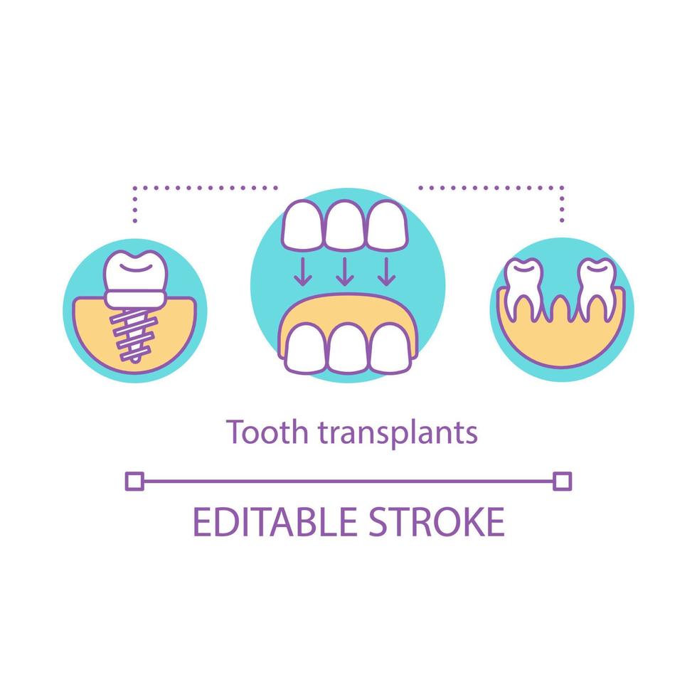 tand transplantaties concept icoon. technologie van de restauratieve tandheelkunde. tandheelkundige kliniek dienst. implantatie van verloren tanden idee dunne lijn illustratie. vector geïsoleerde overzichtstekening. bewerkbare streek