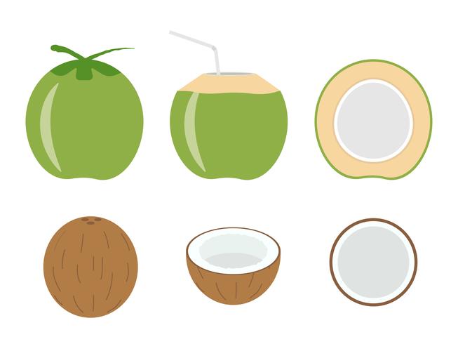 Vectorillustratie van vastgestelde verse die kokosnoot op witte achtergrond wordt geïsoleerd vector
