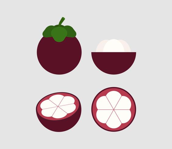 vectorillustratie van mangosteen instellen geïsoleerd op achtergrond vector