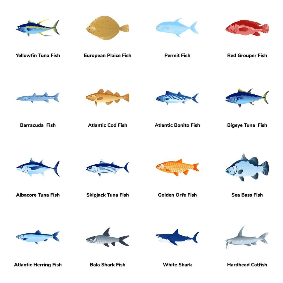 platte iconen van Atlantische vissoorten vector
