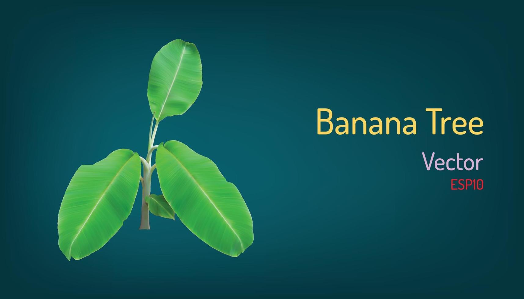 realistische bananenboom en takelementen. vector illustratie eps10