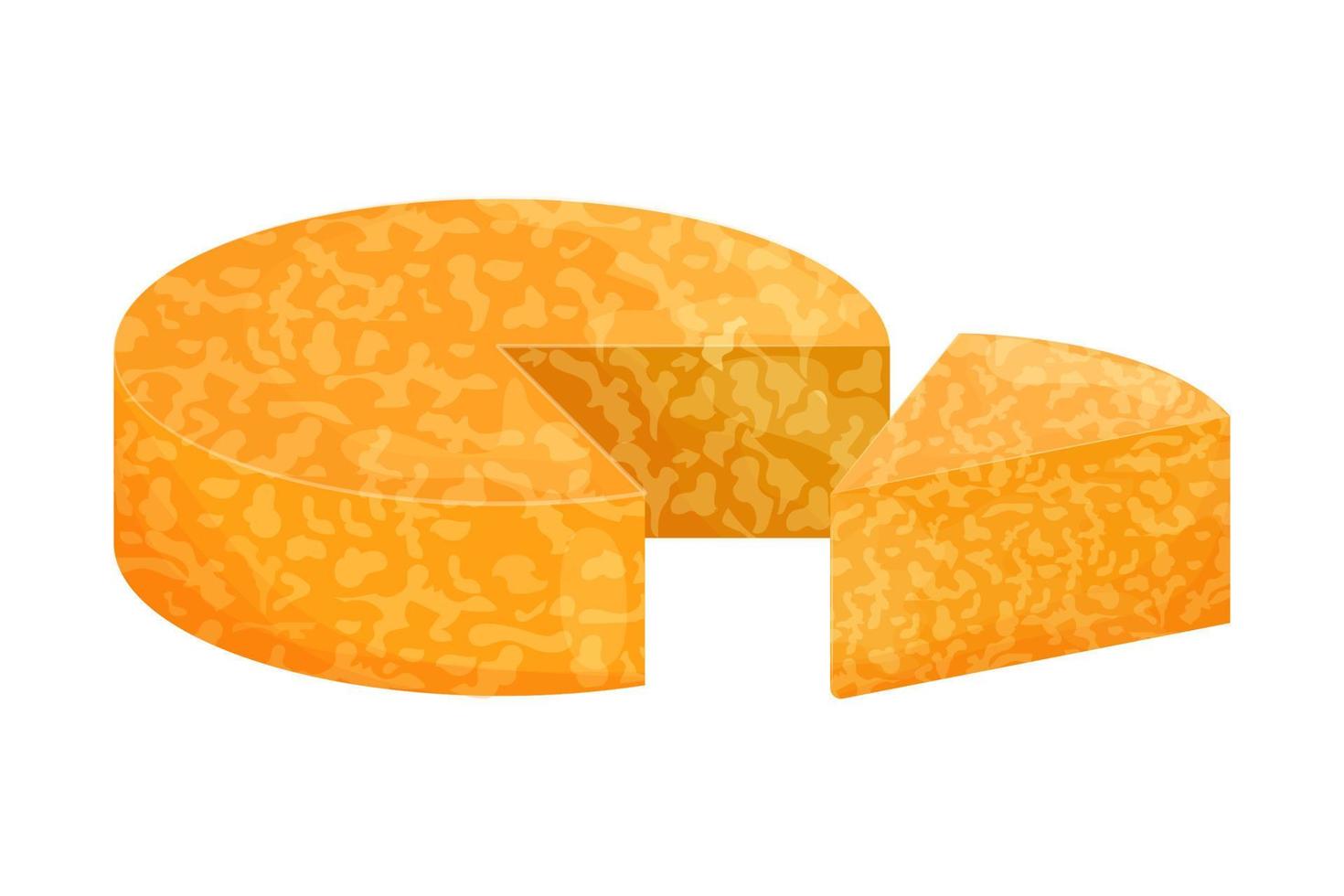 samenstelling colby jack kaas, gesneden driehoek segment en ronde geïsoleerd op een witte achtergrond. tipe soort, ingrediënt, ontwerpelement. vector illustratie