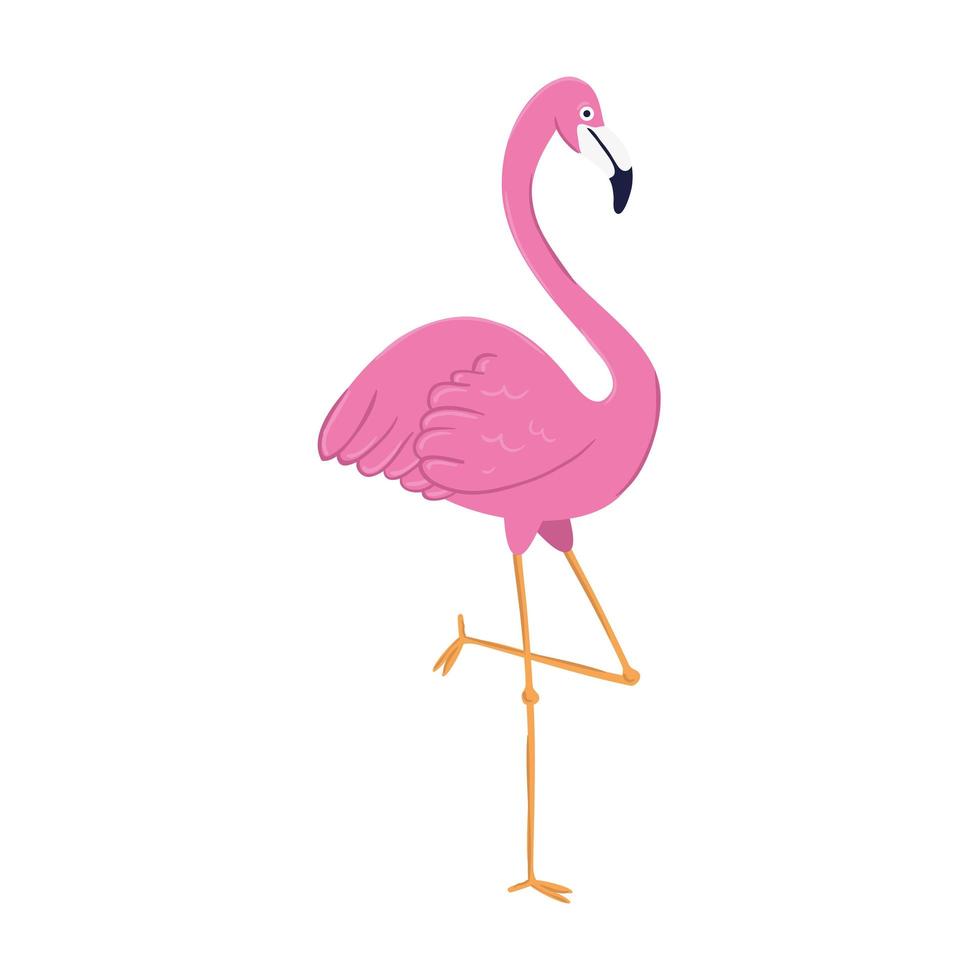 flamingo tropisch dier op witte achtergrond vector