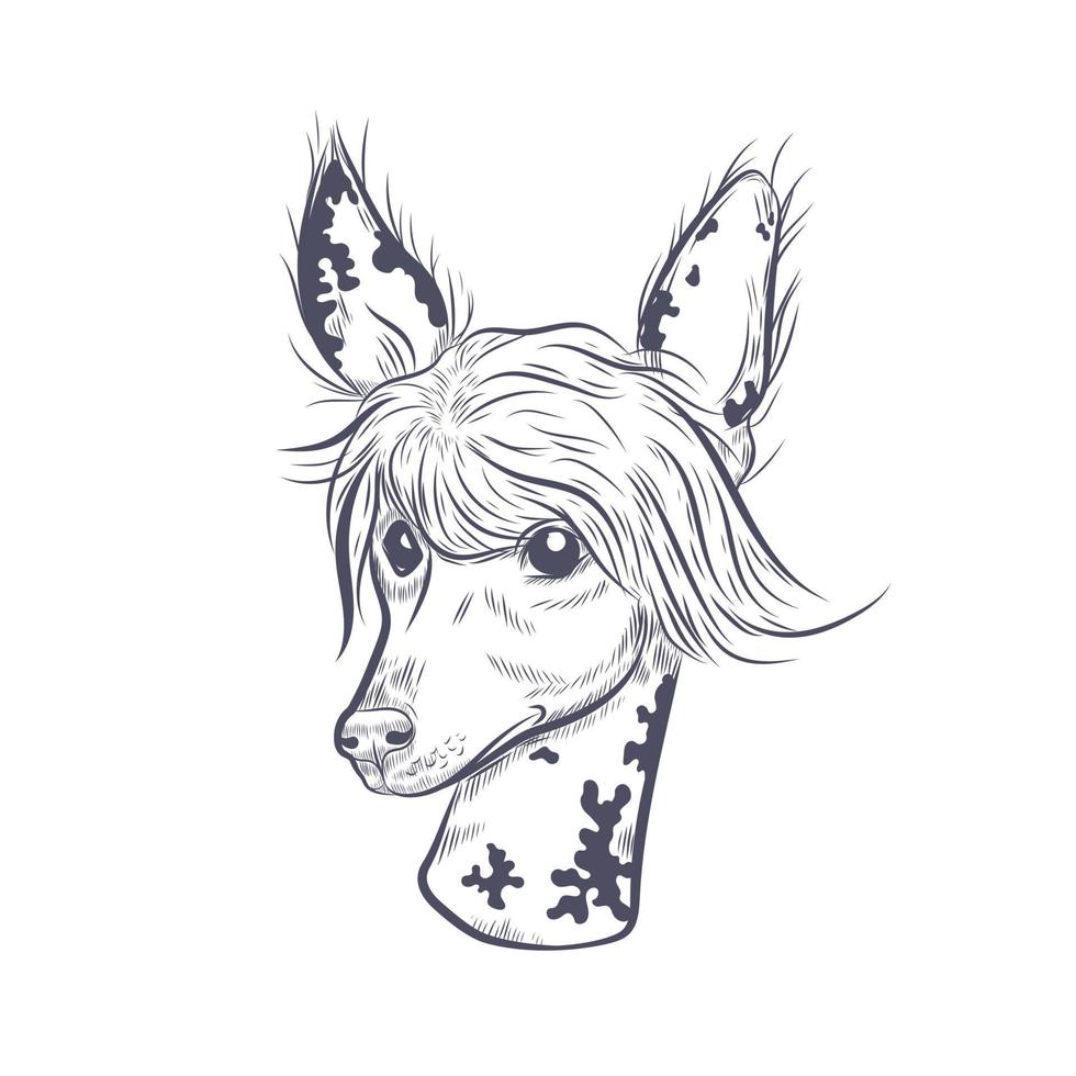 chinese crested dog hand getekende vector schets.