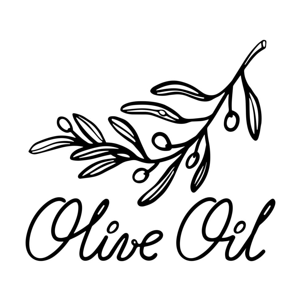 olijfolie-logo. vectorillustratie olijftak contour handgetekende met uit de vrije hand belettering. vector