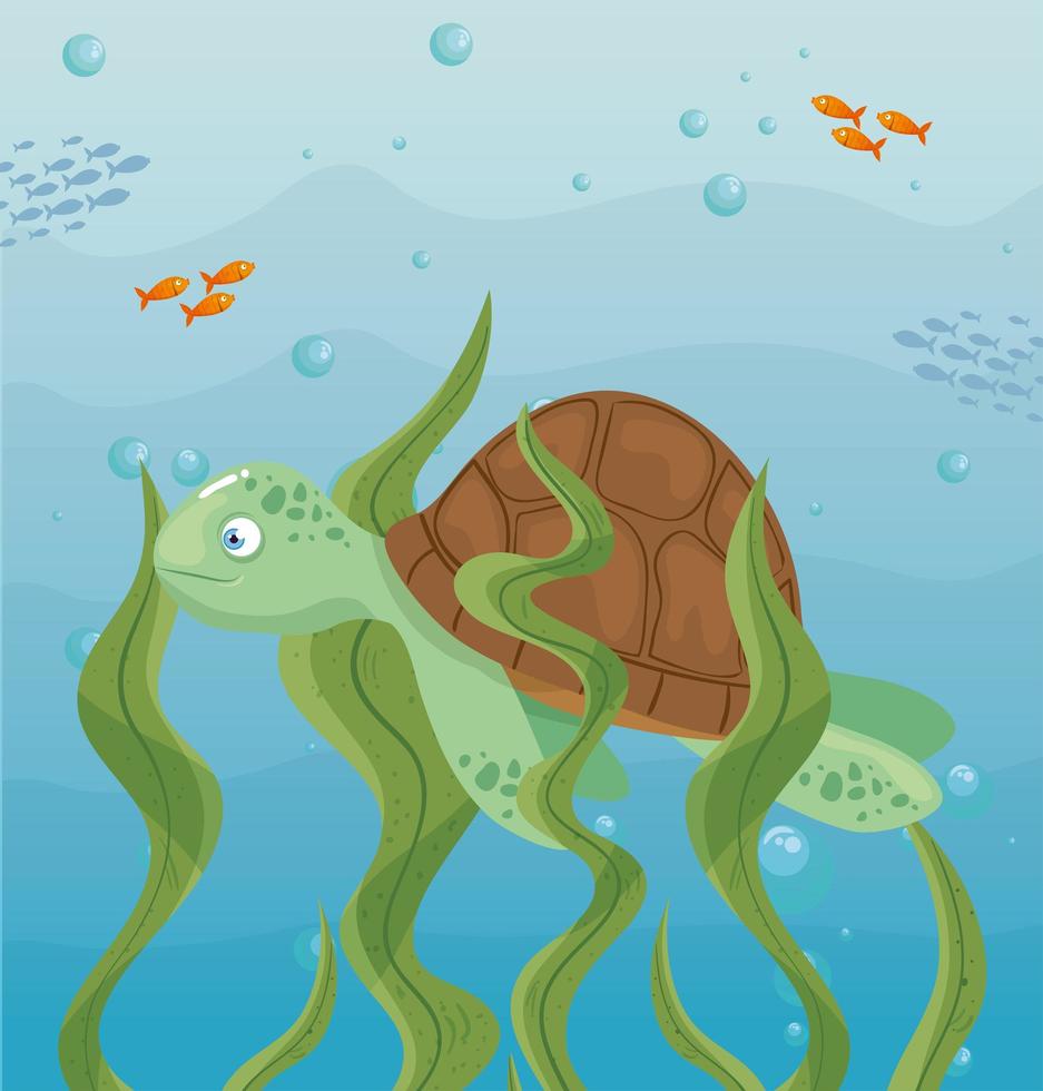 schildpad en leven in de oceaan, zeewereldbewoners, schattige onderwaterwezens, onderzeese fauna vector