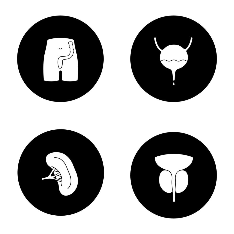 interne organen glyph pictogrammen instellen. rectum en anus, urineblaas, milt, prostaatklier. vector witte silhouetten illustraties in zwarte cirkels