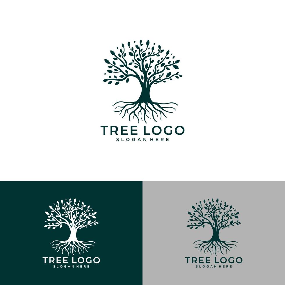 wortel van de boom logo afbeelding. vector silhouet van een boom, abstracte levendige boom logo ontwerp, wortel vector - levensboom logo ontwerp inspiratie geïsoleerd op een witte achtergrond.