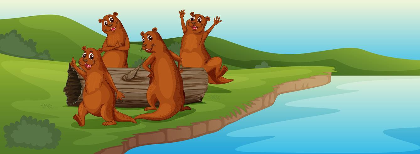 otters vector