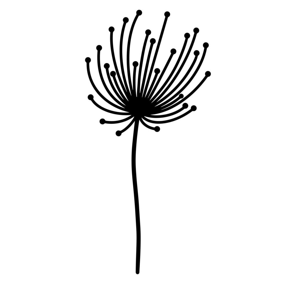 veld plant met bloeiwijze vector icoon. hand getrokken doodle geïsoleerd op een witte achtergrond. wilde bloem met grote bloeiwijze en ronde zaden. monochroom botanische schets.