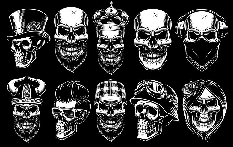 Set van verschillende schedels. vector