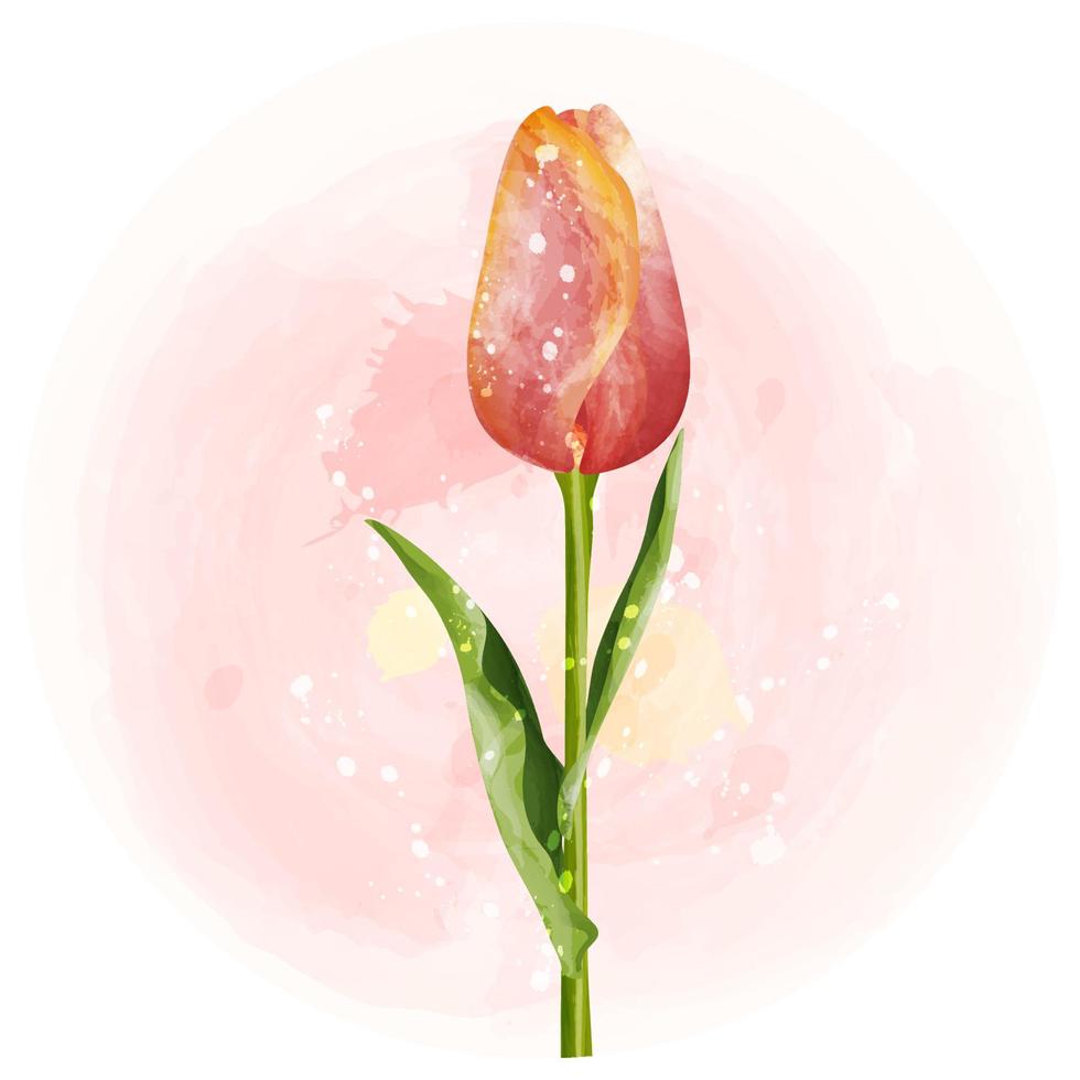 tulpen aquarel clipart illustratie met roze achtergrond. vector