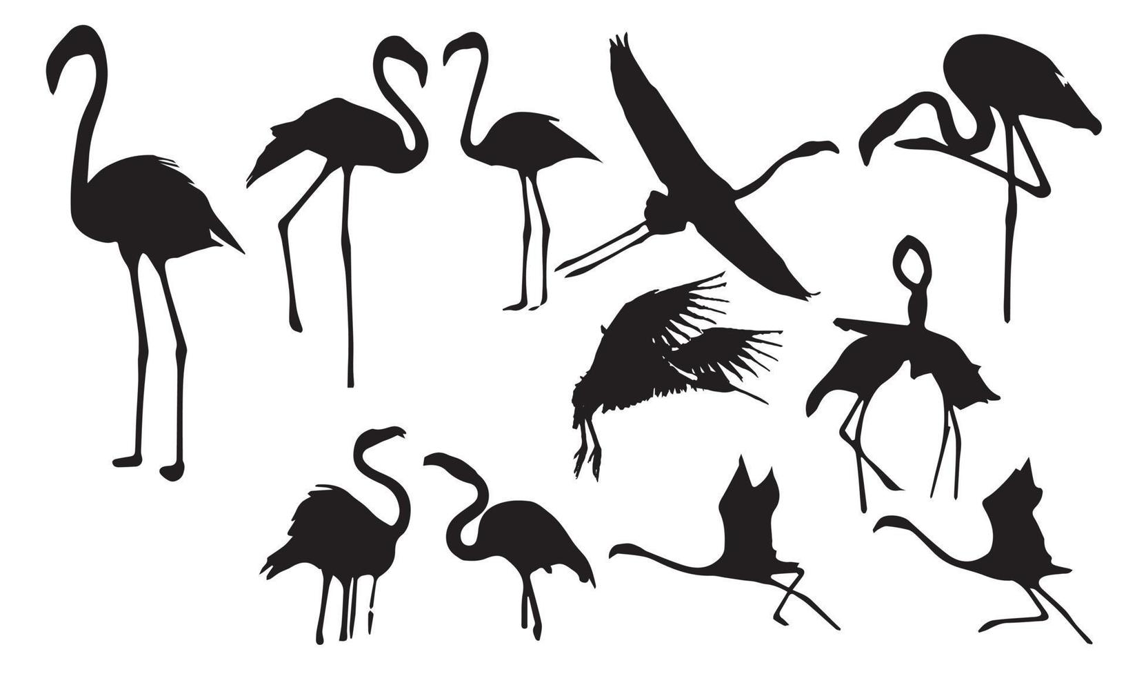 flamingo silhouet vector illustratie ontwerp