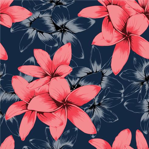 De naadloze bloemen van Frangipani van de patroon roze pastelkleur op donkerblauwe achtergrond Het trekken van lijnart. Vector illustratie