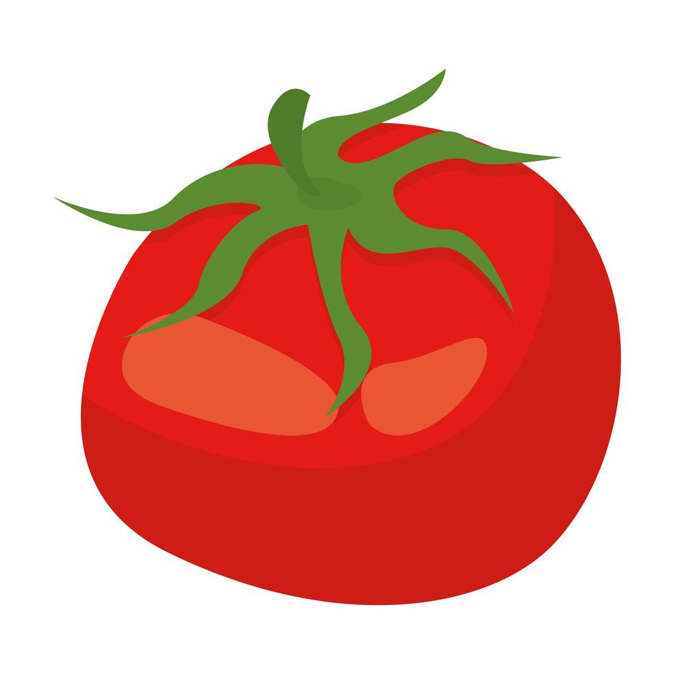 verse tomatengroente vector
