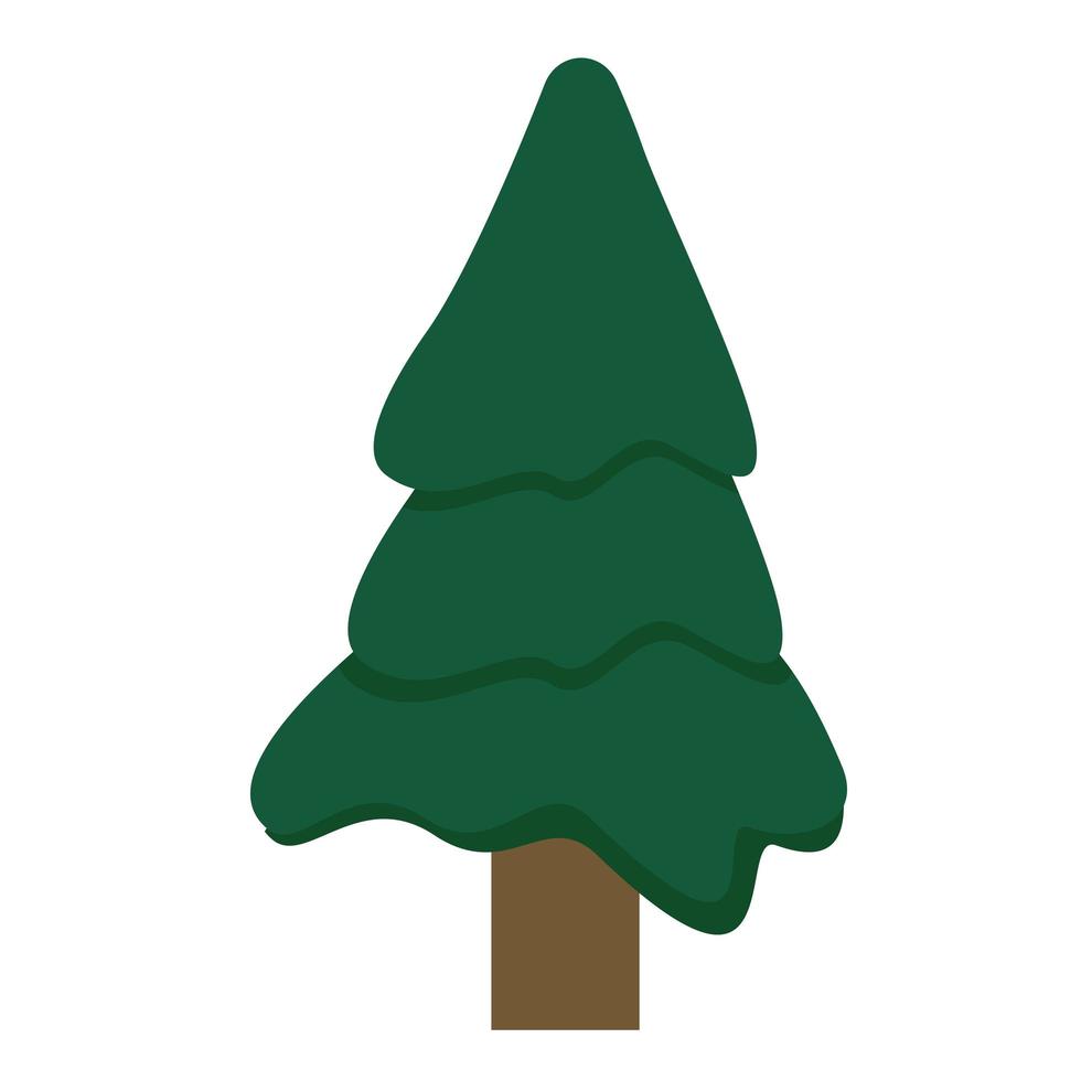 dennenboom coniferus vector