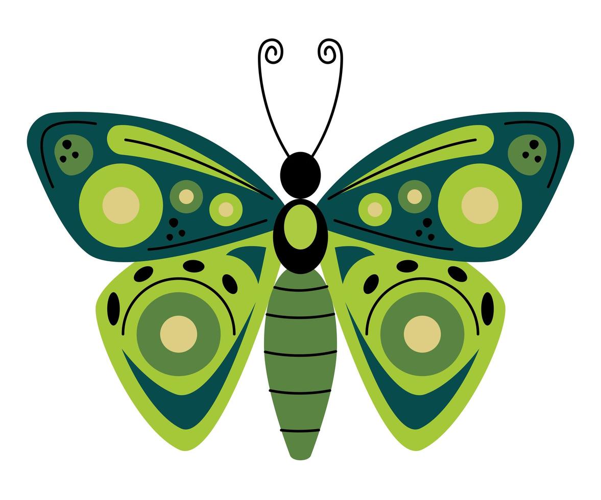 schattige groene vlinder vector