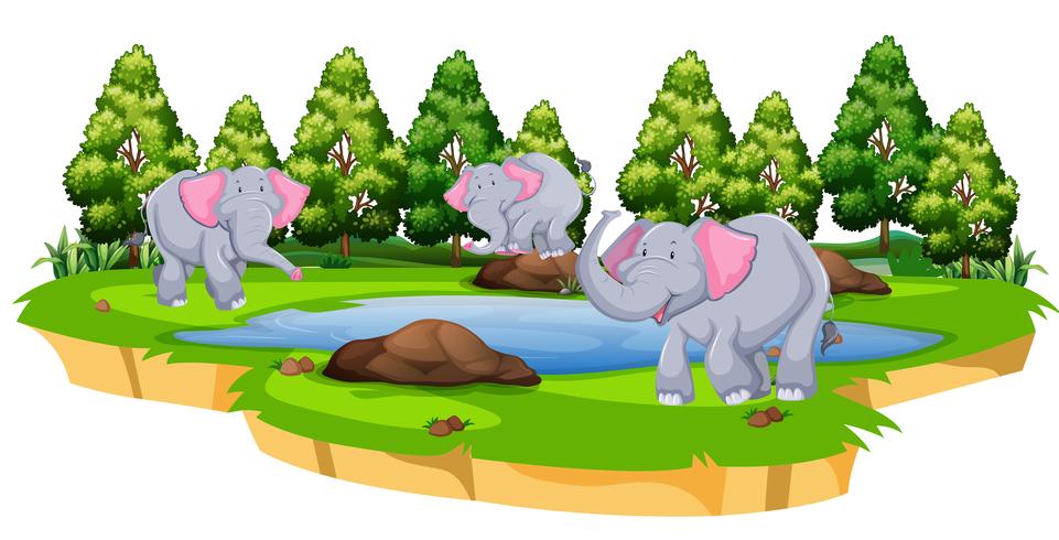 Groep olifanten in de natuur vector