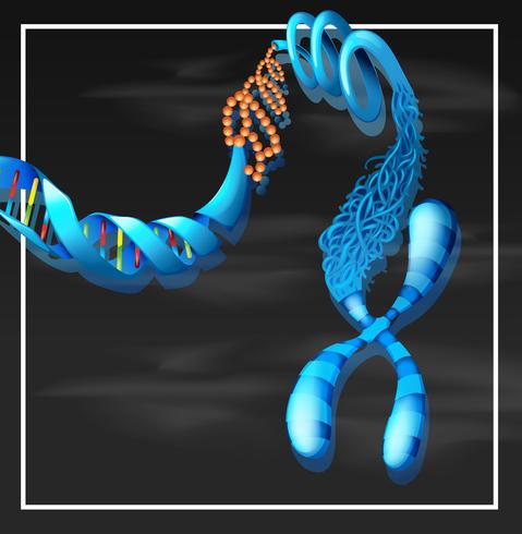 Een DNA-achtergrondsjabloon vector