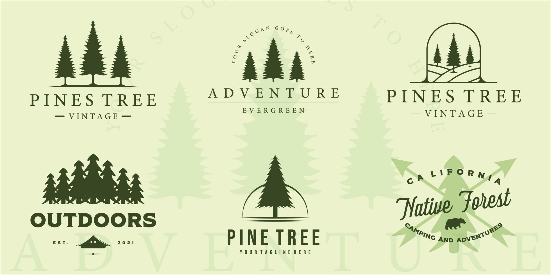 set van pine tree logo vintage vector illustratie sjabloon pictogram grafisch ontwerp. bundelverzameling van verschillende retro plantendennen met typografie