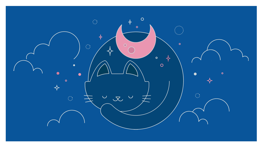 katten nacht vector