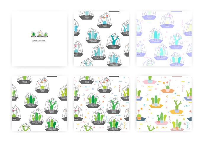 Set van naadloze patroon met cactussen in glazen terraria. Achtergrondillustraties voor cadeaupapierontwerp. vector