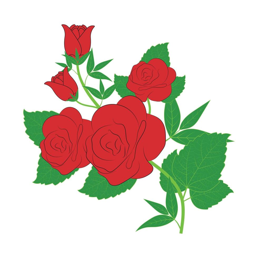 mooie rozen met bladeren en knoppen. vectorillustratie voor een ansichtkaart of een poster, print voor kleding. vintage bloemen. vector